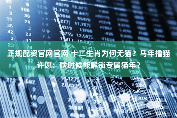 正规配资官网官网 十二生肖为何无猫？马年撸猫许愿：啥时候能解锁专属猫年？