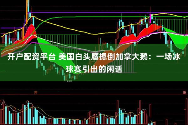 开户配资平台 美国白头鹰摁倒加拿大鹅:一场冰球赛引出的闲话